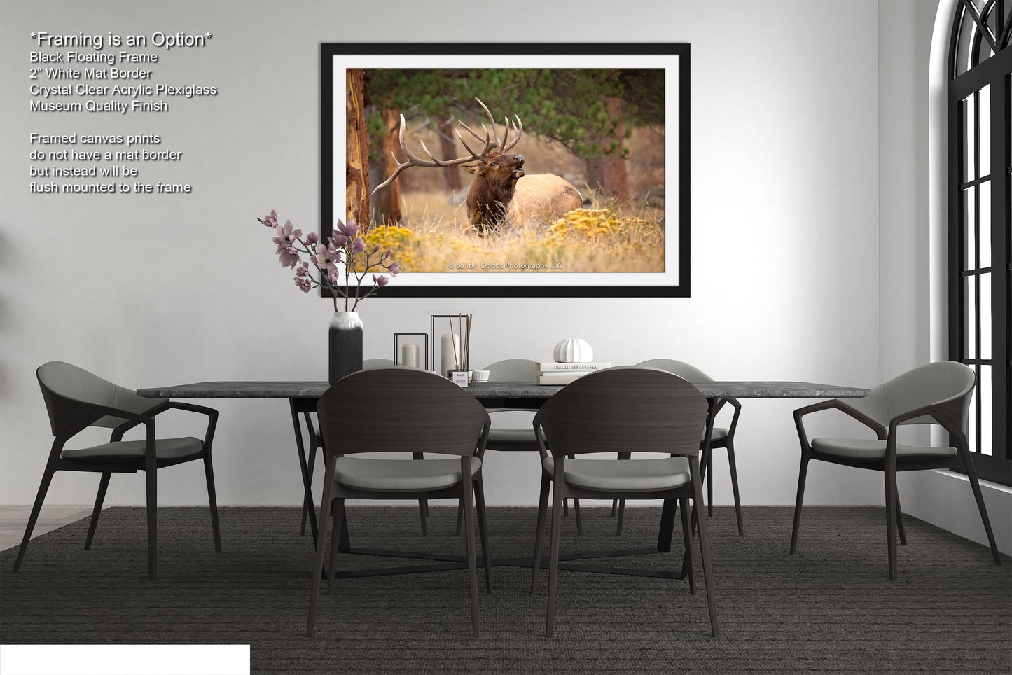 Bull Elk Bugling, Wildlife Wall Canvas, Rocky Mountain National Park, Colorado Canvas Art Prints, Elk Photography, Made in the USA