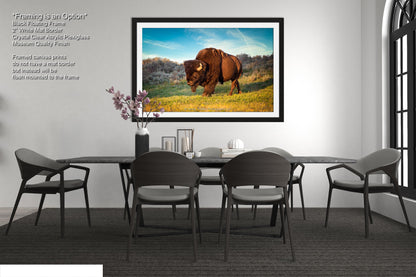 Buffalo Canvas Print, Bison Photograph, Yellowstone National Park Wildlife Photography, Wildlife Wall Art Decor, by Original Photographer