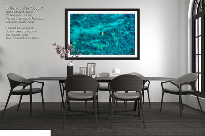 Sea Turtle Wall Art - Aerial Ocean Photography Print, Tropical Underwater Decor, Marine Life Artwork for Coastal Homes