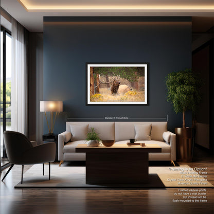 Bull Elk Bugling, Wildlife Wall Canvas, Rocky Mountain National Park, Colorado Canvas Art Prints, Elk Photography, Made in the USA