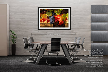 Vineyard Autumn Gold, California Vineyard, St Helena, Fall Vineyard Leaves, Grapes, Winery Art, Wine Wall Décor Kitchen Cellar
