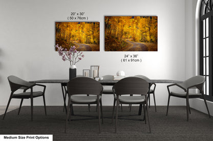 Colorado Aspens, Curvy road, autumn color, Little Cimarron Valley, Rocky Mountains, golden leaves, Photography wall art