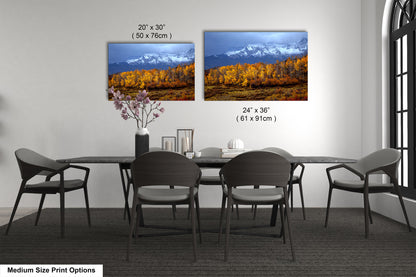 Colorado Mountains in Autumn, Aspens, Dallas Divide, Ridgway, Telluride, Photography wall art