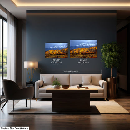 Colorado Mountains in Autumn, Aspens, Dallas Divide, Ridgway, Telluride, Photography wall art