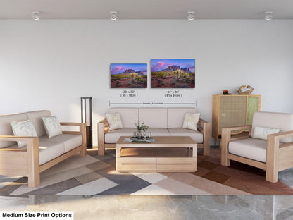 Lost Dutchman State Park, Superstition Mountains, Arizona Photography Wall Art