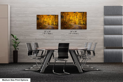 Colorado Aspens, Curvy road, autumn color, Little Cimarron Valley, Rocky Mountains, golden leaves, Photography wall art