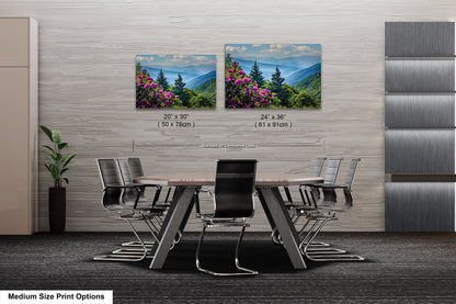 Blue Ridge Mountains and Rhododendrons, Blue Ridge Parkway, North Carolina, Photography wall art
