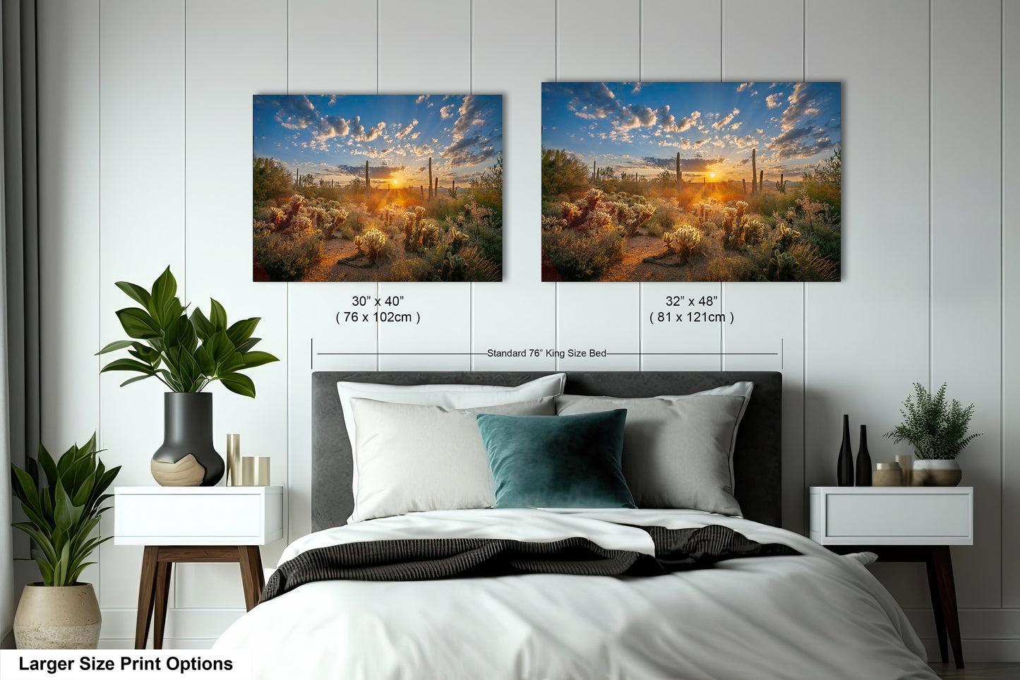 Sonoran Desert Sunrise, Carefree Arizona, backlit saguaro cactus and cholla cactus, Photography wall art