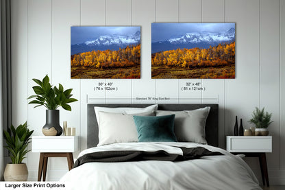 Colorado Mountains in Autumn, Aspens, Dallas Divide, Ridgway, Telluride, Photography wall art
