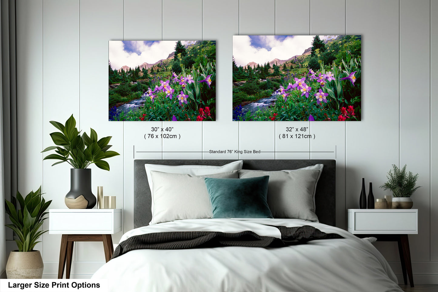 Three Waterfalls and Colorado Columbine, Misty Valley, Yankee Boy Basin, Ouray Colorado, Little Switzerland, Red Mountain Pass, Sneffel Creek