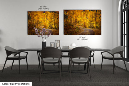 Colorado Aspens, Curvy road, autumn color, Little Cimarron Valley, Rocky Mountains, golden leaves, Photography wall art