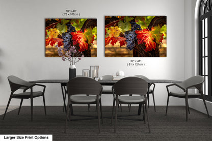 Vineyard Autumn Gold, California Vineyard, St Helena, Fall Vineyard Leaves, Grapes, Winery Art, Wine Wall Décor Kitchen Cellar