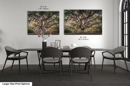 New Orleans Elegance: Wall Art Print Audubon Park's Iconic Tree of Life New Orleans, Louisiana Spanish Moss