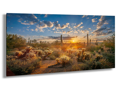 Sonoran Desert Sunrise, Carefree Arizona, backlit saguaro cactus and cholla cactus, Photography wall art