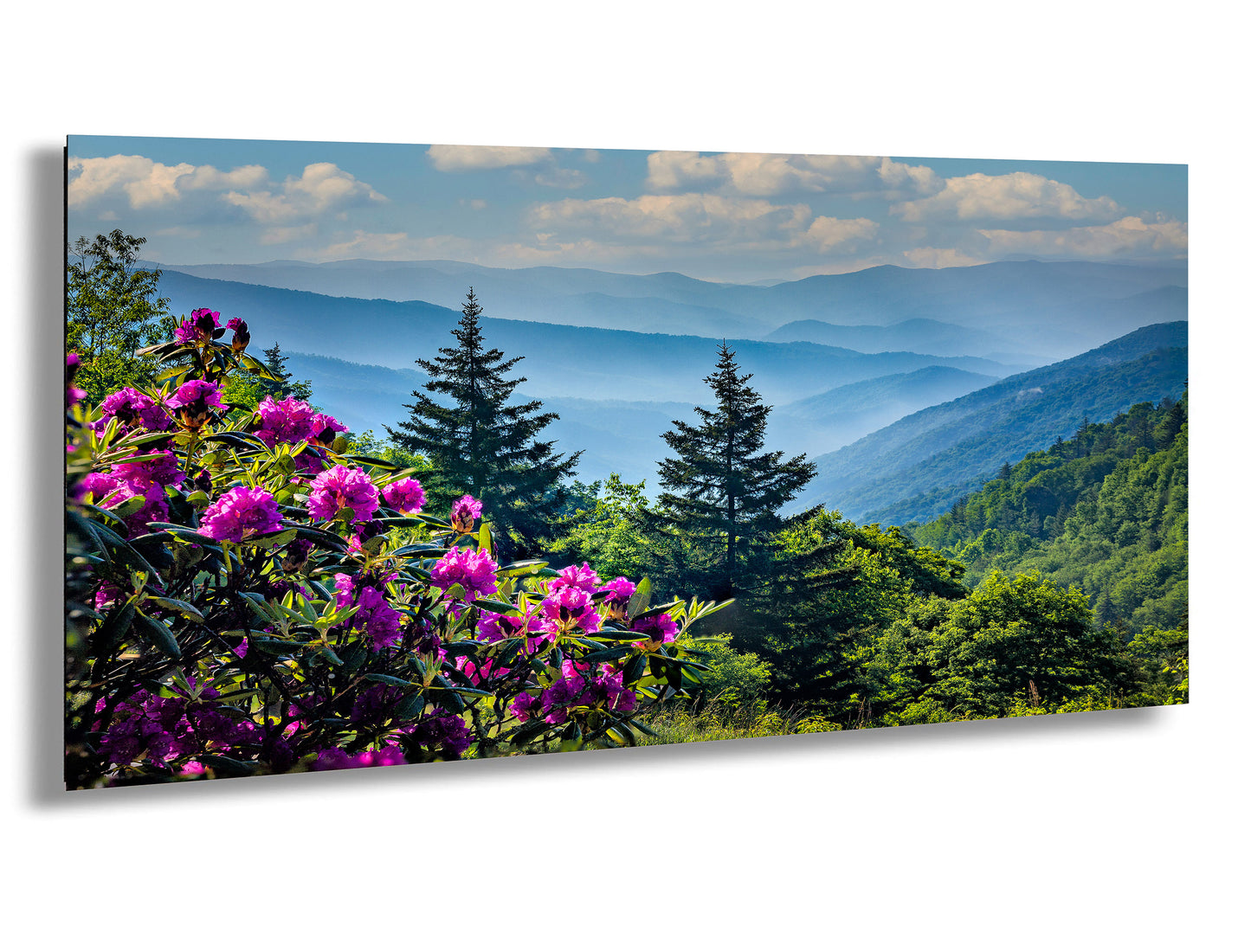 Blue Ridge Mountains and Rhododendrons, Blue Ridge Parkway, North Carolina, Photography wall art