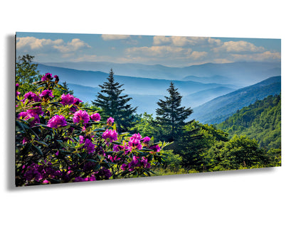 Blue Ridge Mountains and Rhododendrons, Blue Ridge Parkway, North Carolina, Photography wall art