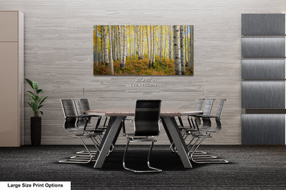 Aspens in autumn, Crested Butte, Colorado. Kebler Pass.