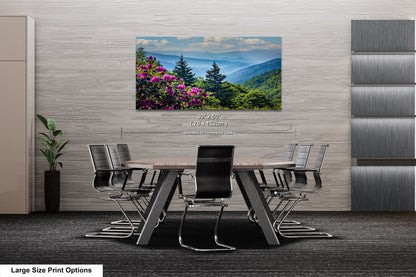 Blue Ridge Mountains and Rhododendrons, Blue Ridge Parkway, North Carolina, Photography wall art