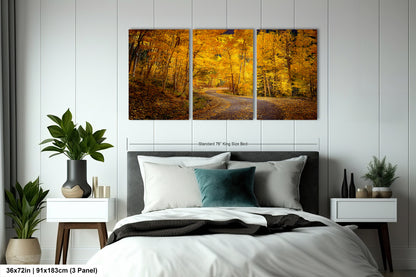 Colorado Aspens, Curvy road, autumn color, Little Cimarron Valley, Rocky Mountains, golden leaves, Photography wall art