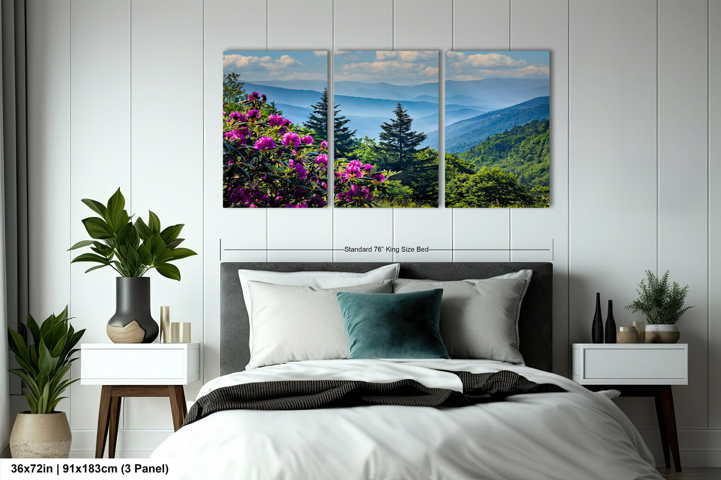 Blue Ridge Mountains and Rhododendrons, Blue Ridge Parkway, North Carolina, Photography wall art