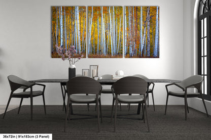 Autumn Aspens in Crested Butte Colorado  Scenic Fall Landscape Print