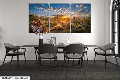 Sonoran Desert Sunrise, Carefree Arizona, backlit saguaro cactus and cholla cactus, Photography wall art
