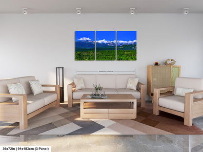 Panoramic picture of Rocky Mountain national park, Estes park wall art, national park photography, Longs Peak photo, Colorado mountains canvas