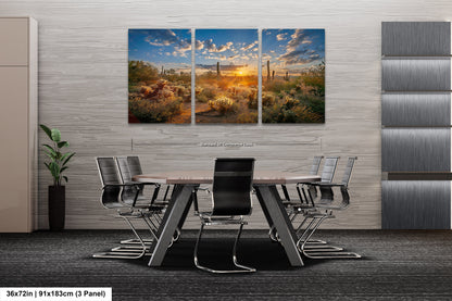Sonoran Desert Sunrise, Carefree Arizona, backlit saguaro cactus and cholla cactus, Photography wall art