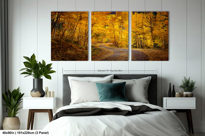 Colorado Aspens, Curvy road, autumn color, Little Cimarron Valley, Rocky Mountains, golden leaves, Photography wall art