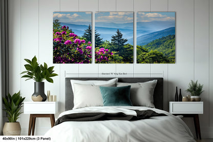 Blue Ridge Mountains and Rhododendrons, Blue Ridge Parkway, North Carolina, Photography wall art