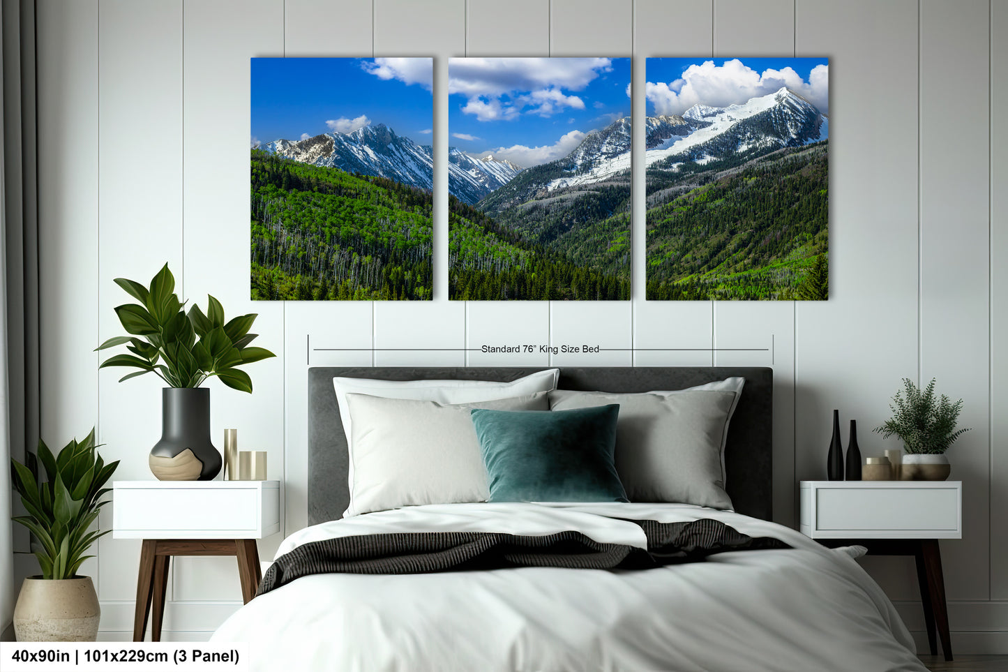 Colorado canvas print in springtime, Rocky mountains in spring, Colorado mountain art, printable wall art, Aspen Colorado