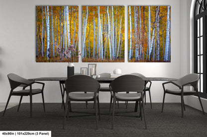 Autumn Aspens in Crested Butte Colorado  Scenic Fall Landscape Print
