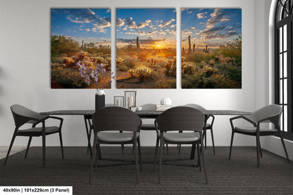 Sonoran Desert Sunrise, Carefree Arizona, backlit saguaro cactus and cholla cactus, Photography wall art