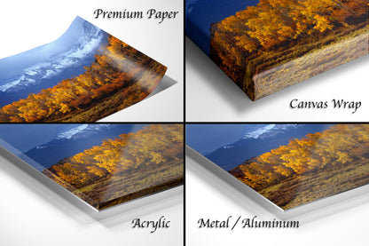 Colorado Mountains in Autumn, Aspens, Dallas Divide, Ridgway, Telluride, Photography wall art