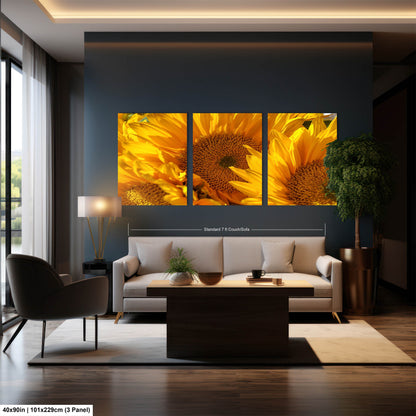 Sunflowers, Sunflower fields, Flowers, Giant Sunflowers, Helianthus, Photography Print, Acrylic, Canvas, Metal