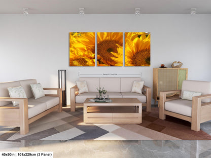 Sunflowers, Sunflower fields, Flowers, Giant Sunflowers, Helianthus, Photography Print, Acrylic, Canvas, Metal