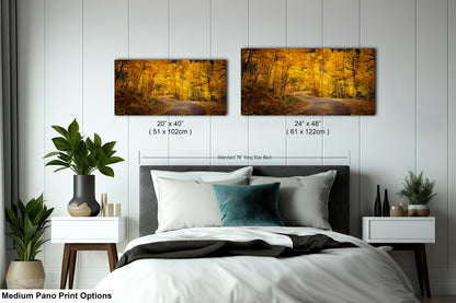 Colorado Aspens, Curvy road, autumn color, Little Cimarron Valley, Rocky Mountains, golden leaves, Photography wall art