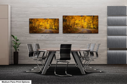 Colorado Aspens, Curvy road, autumn color, Little Cimarron Valley, Rocky Mountains, golden leaves, Photography wall art