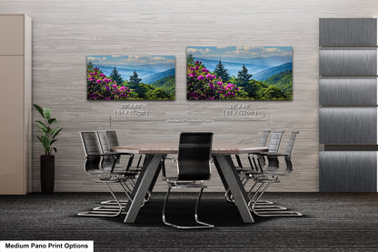 Blue Ridge Mountains and Rhododendrons, Blue Ridge Parkway, North Carolina, Photography wall art