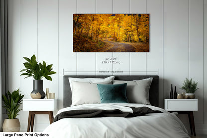 Colorado Aspens, Curvy road, autumn color, Little Cimarron Valley, Rocky Mountains, golden leaves, Photography wall art