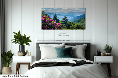 Blue Ridge Mountains and Rhododendrons, Blue Ridge Parkway, North Carolina, Photography wall art