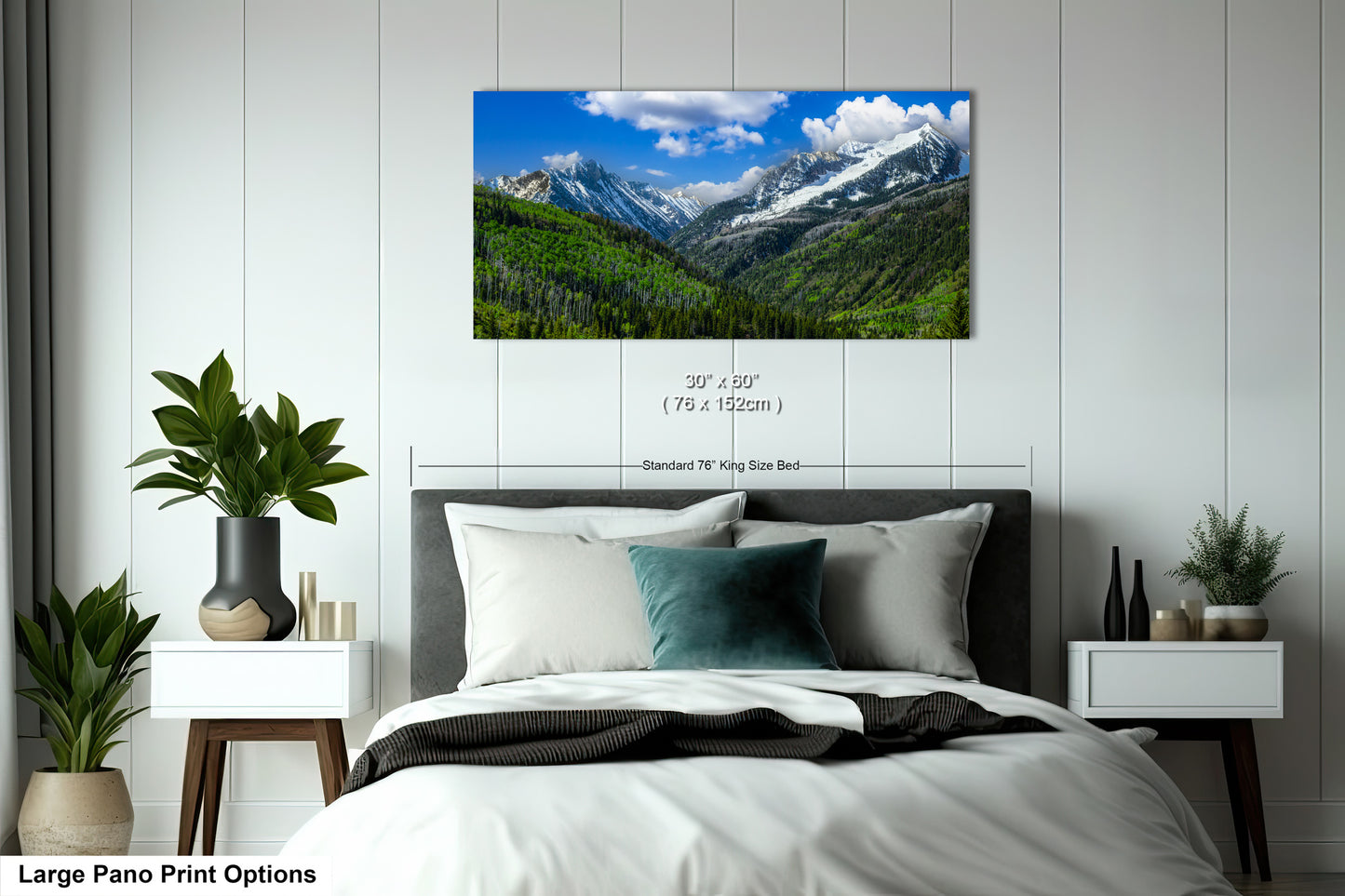 Colorado canvas print in springtime, Rocky mountains in spring, Colorado mountain art, printable wall art, Aspen Colorado