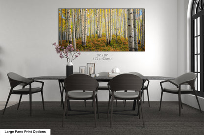 Aspens in autumn, Crested Butte, Colorado. Kebler Pass.