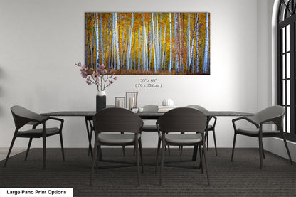 Autumn Aspens in Crested Butte Colorado  Scenic Fall Landscape Print