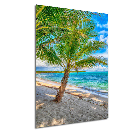 Palm Tree Photo, Wall Art, Palms, Photo, Canvas Print, Wall Decor, Metal Print