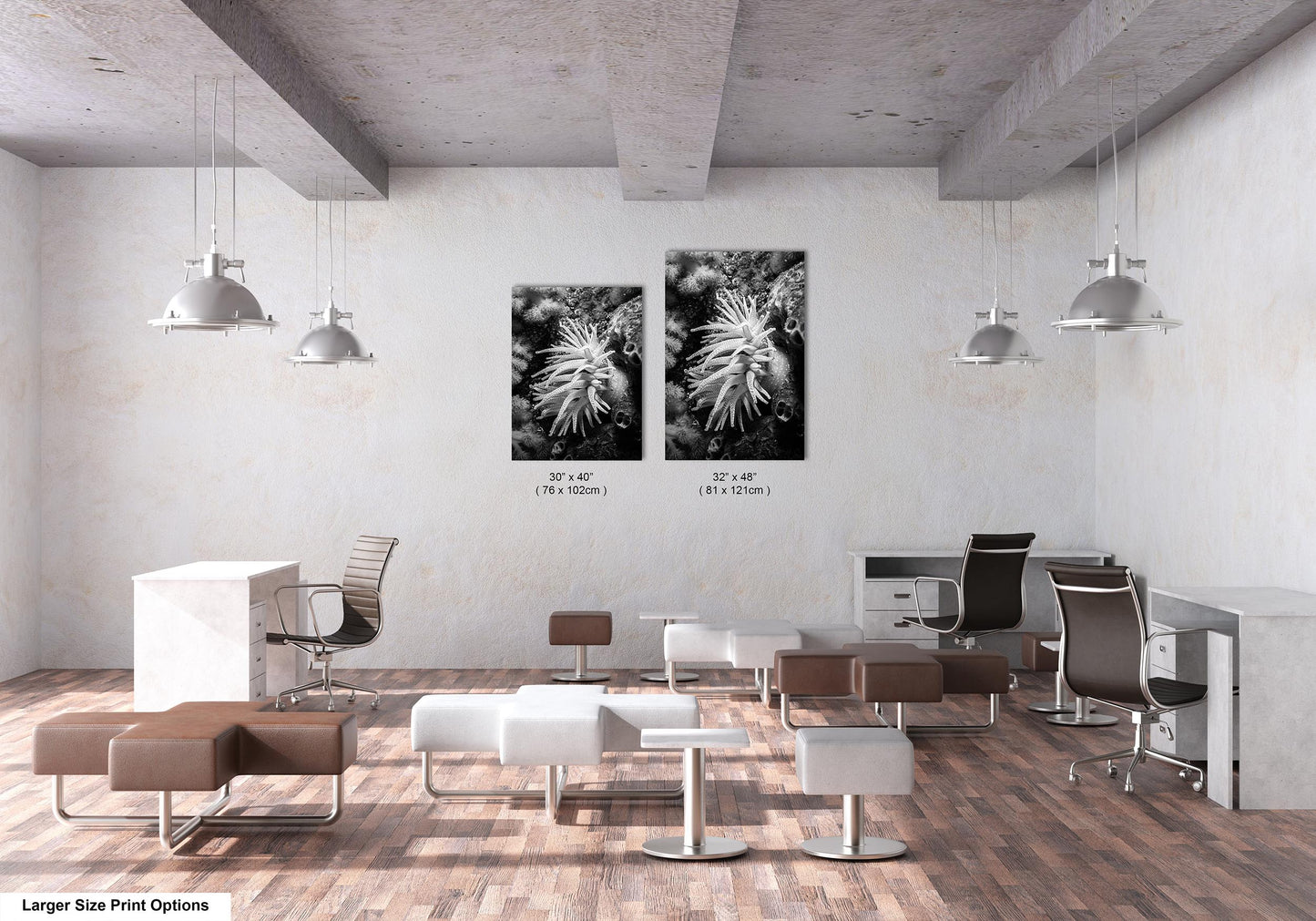 Sea Life Wall Art Sea Anemone Underwater Print in Black and White Ocean Lover Gift Coral Reef Art