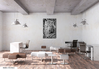 Leopard African Safari black and white