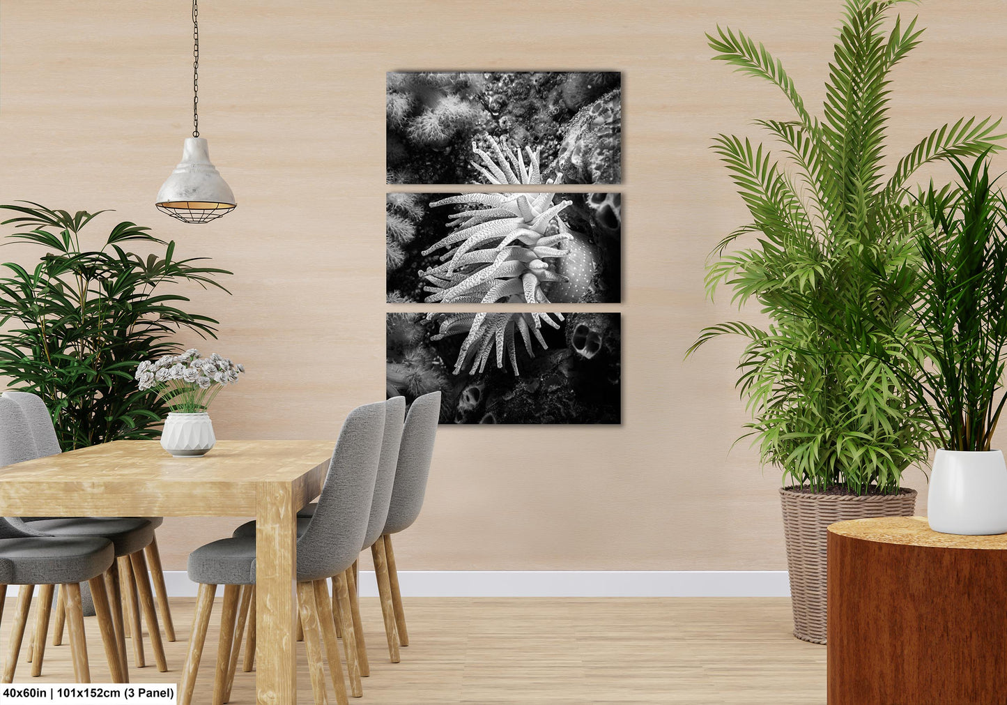 Sea Life Wall Art Sea Anemone Underwater Print in Black and White Ocean Lover Gift Coral Reef Art