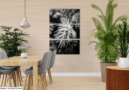 Sea Life Wall Art Sea Anemone Underwater Print in Black and White Ocean Lover Gift Coral Reef Art