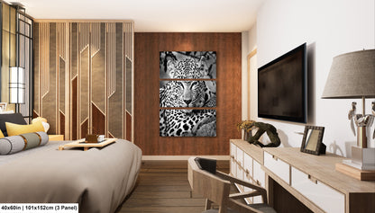 Leopard African Safari black and white
